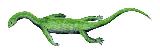 Keichousaurio - Keichousaurus hui. 
