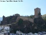 Castillo de la Yedra. 