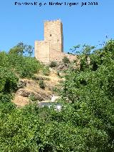 Castillo de la Yedra. Desde el Ro Cerezuelo
