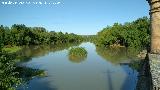 Ro Guadalquivir. Desde la Presa de Casas Nuevas