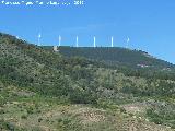 Cerro de Hoyo de los Cigarrones. 