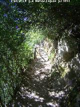 Cerrada de Elas. 