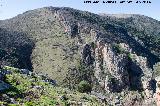 Cerro de la Morenica. 