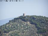 Cerro de la Torre. 