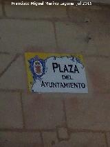 Plaza del Ayuntamiento. Placa