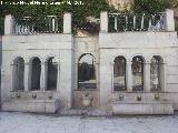 Fuente de la Negra