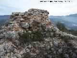 Torren del Cerro Algarrobo. 