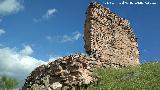 Castillo Torre de Zarracotn. 