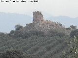 Castillo Torre de Zarracotn. 