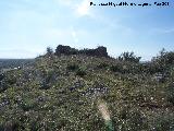 Castillo Torrechantre. 