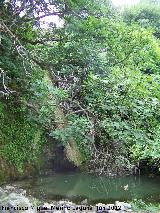 Cascada de la Corregidora. 