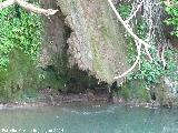 Cascada de la Corregidora. 