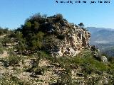 Castillo de Ruicerezo. 