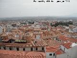 Jan. Desde la azotea del Palacio de Villardompardo