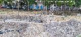 Marroqu�es Bajos. Zona del anillo 0