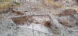 Marroqu�es Bajos. Torre�n del anillo 0