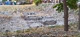Marroqu�es Bajos. Zona del anillo 0