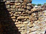 Cortijo de Canuto. Restos de grabados en sus piedras