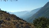 Cerro de los Morteros. Cabras montesas