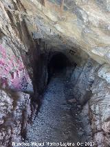 Cueva de la Mona. Interior