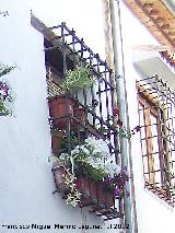 Casa de la Calle Baja de San Jorge n 24. Rejera de poca