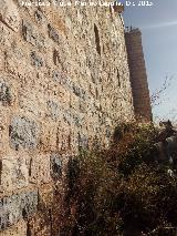 Castillo Viejo de Santa Catalina. Muralla sur