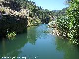 Pantano de Aguasnegras. Colas