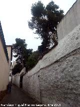 Calle Huerto del Cannigo. 