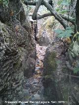 Cueva de los Baos. Pequeo can que conduce a ella