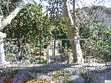 Jardines de Jabalcuz. 
