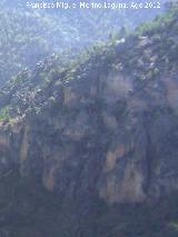Los Canjorros. 