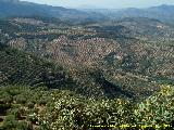 Fortn ibero romano del Pen del Ajo. Desde la Loma de las Chozuelas