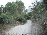 Camino de los Molinos. 