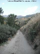 Camino de los Molinos. 