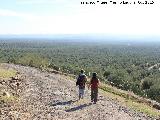 Camino de la Mesta. 