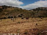 Paraje Pilar de los Potros. 