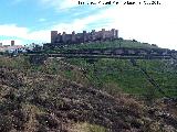 Cerro del Cueto. 