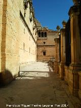 Catedral de Jan. Lonja. 