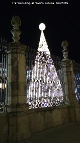 Catedral de Jan. Lonja. De noche, en Navidad