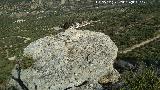 Mesa Redonda. Sobre el cementerio