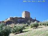 Castillo Vboras. Alczar. 