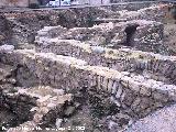 Excavacin arqueolgica de la Escuela de Enfermera . 