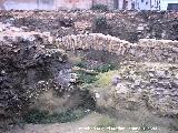 Excavacin arqueolgica de la Escuela de Enfermera . 