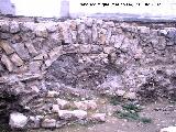 Excavacin arqueolgica de la Escuela de Enfermera . 