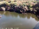 Ro Guadaln. Formacin rocosa a la salida de la presa del Pantano del Molino del Guadaln - Vilches