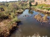 Ro Guadaln. A la salida del Pantano del Molino del Guadaln - Vilches