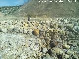 Salinas de San Jos. Muros