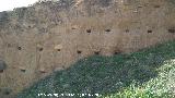 Muralla de Ja�n. Torre�n Sur II. Mechinales