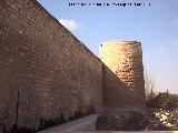 Muralla de Jan. Torren del Cao del Agua. Desde extramuros con el lienzo de muralla que va a la esquina con la Puerta del Aceituno