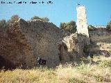 Muralla de Jan. Postigo del Carril. 